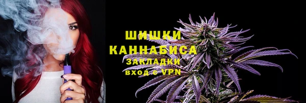 ГАЛЛЮЦИНОГЕННЫЕ ГРИБЫ Баксан